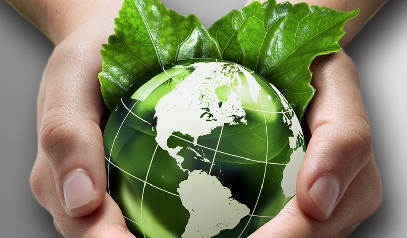 sustainable_hero_1-196040-edited.jpeg sustainable_hero_1-196040-edited.jpeg